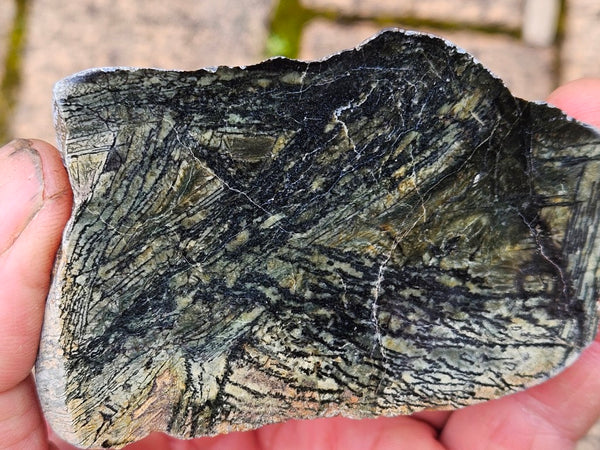 Polished Komatiite slab KOM106