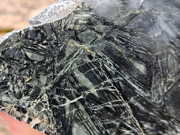 Polished Komatiite slab KOM108