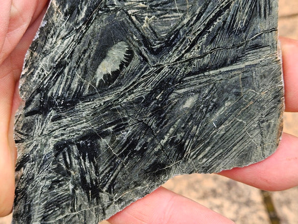 Polished Komatiite slab KOM108