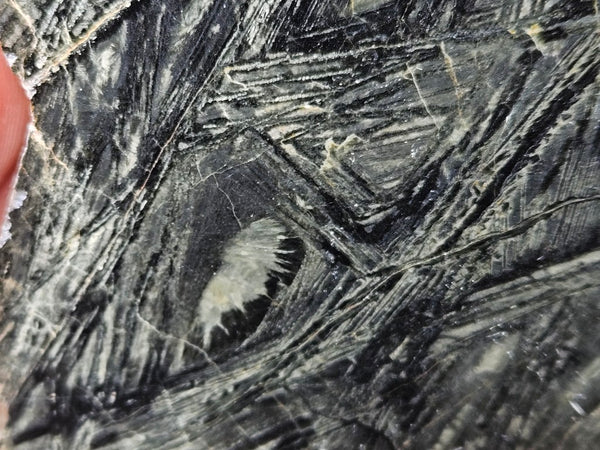 Polished Komatiite slab KOM108