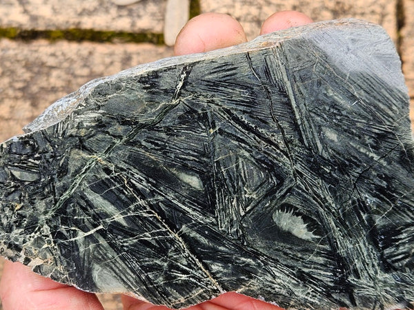 Polished Komatiite slab KOM108