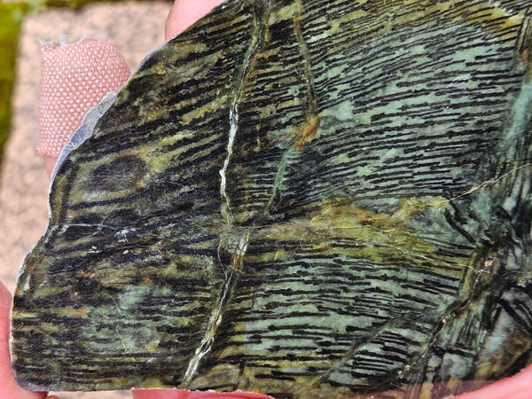 Polished Komatiite slab KOM107