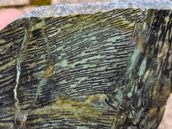 Polished Komatiite slab KOM107
