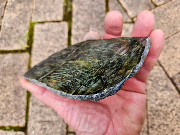 Polished Komatiite slab KOM107