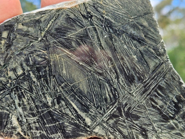 Polished Komatiite KOM112