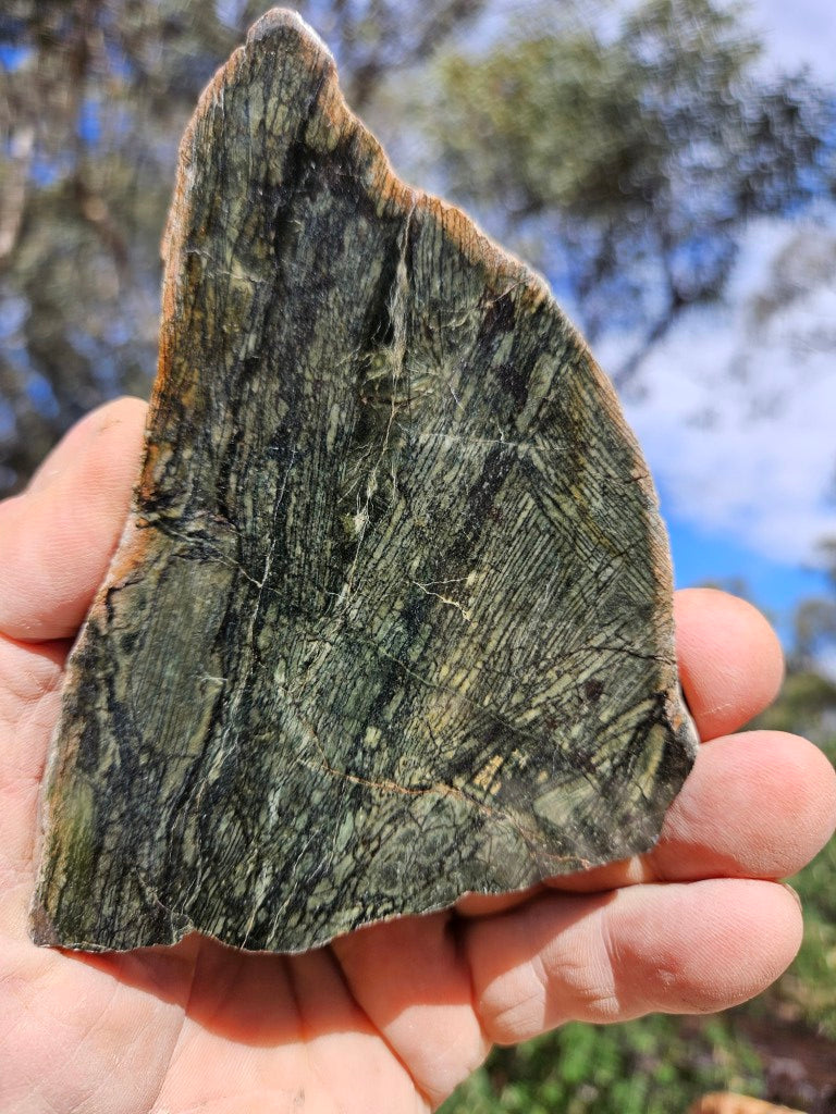 Polished Komatiite slab KOM109
