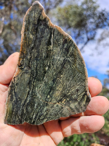 Polished Komatiite slab KOM109
