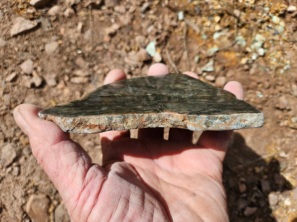 Polished Komatiite slab KOM109