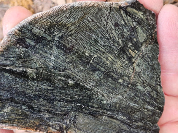 Polished Komatiite slab KOM109