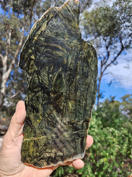 Polished Komatiite slab KOM110