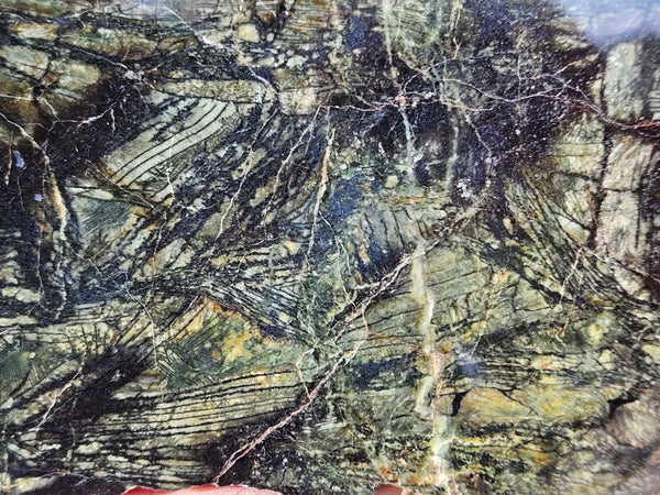 Polished Komatiite slab KOM110