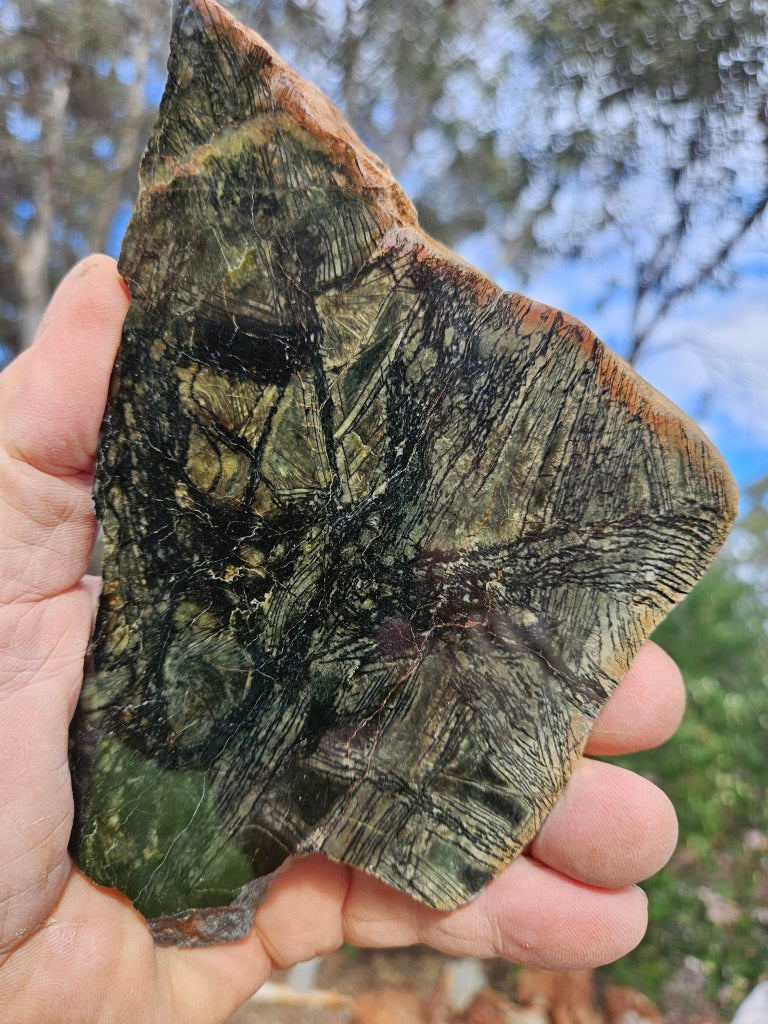 Polished Komatiite slab KOM111