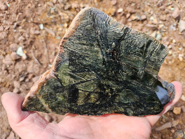 Polished Komatiite slab KOM111