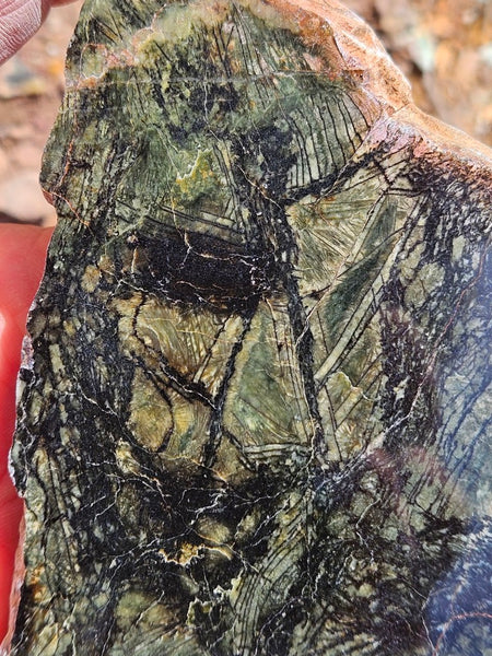 Polished Komatiite slab KOM111