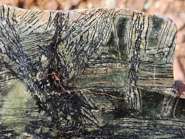 Polished Komatiite slab KOM111