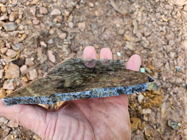 Polished Komatiite slab KOM111