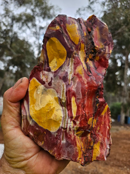 Mookaite rough.  MKR 309