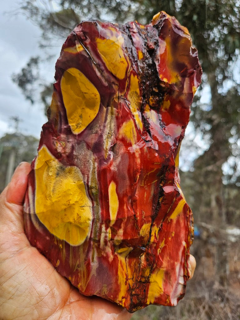 Mookaite rough.  MKR 309