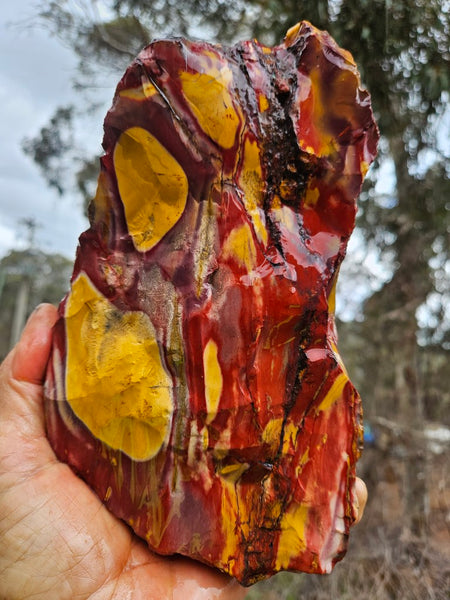 Mookaite rough.  MKR 309