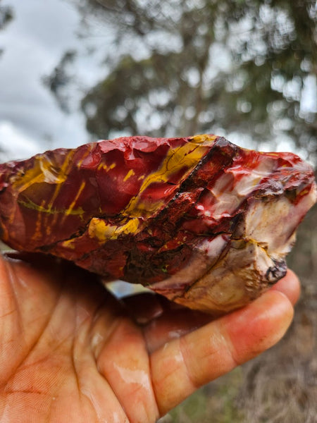 Mookaite rough.  MKR 309