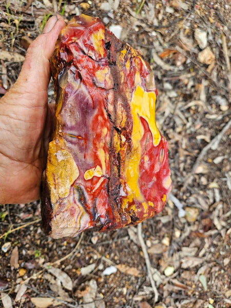 Mookaite rough.  MKR 309