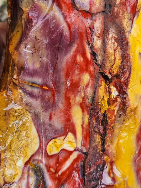 Mookaite rough.  MKR 309