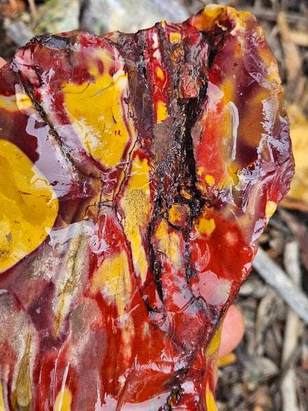 Mookaite rough.  MKR 309