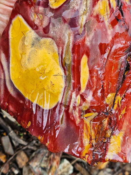 Mookaite rough.  MKR 309