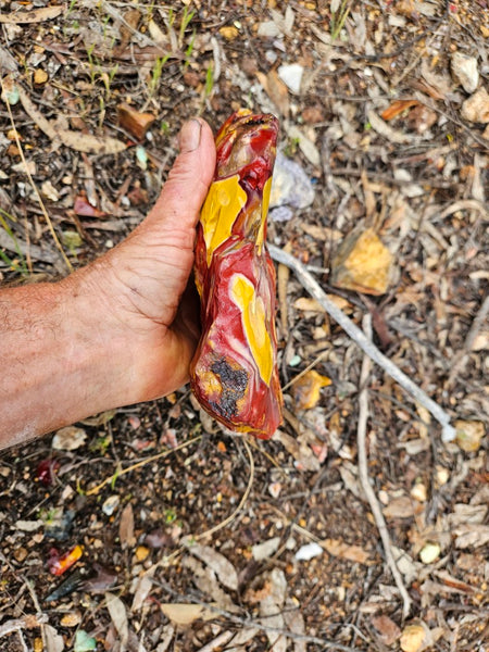 Mookaite rough.  MKR 309