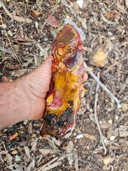 Mookaite rough.  MKR 309