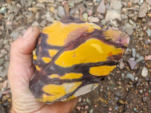Mookaite rough.  MKR 310