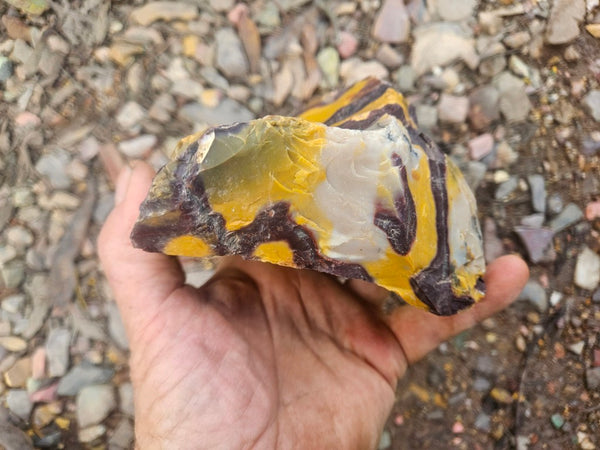 Mookaite rough.  MKR 310