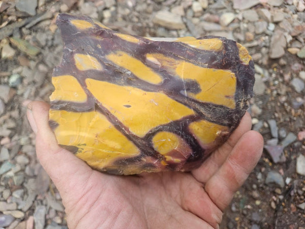 Mookaite rough.  MKR 310