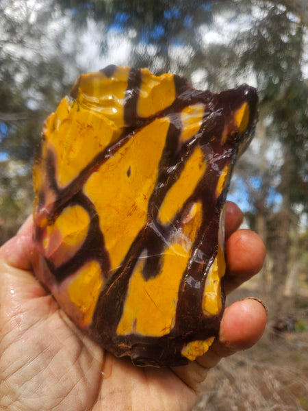 Mookaite rough.  MKR 310