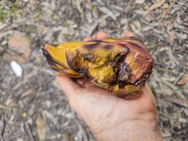 Mookaite rough.  MKR 310
