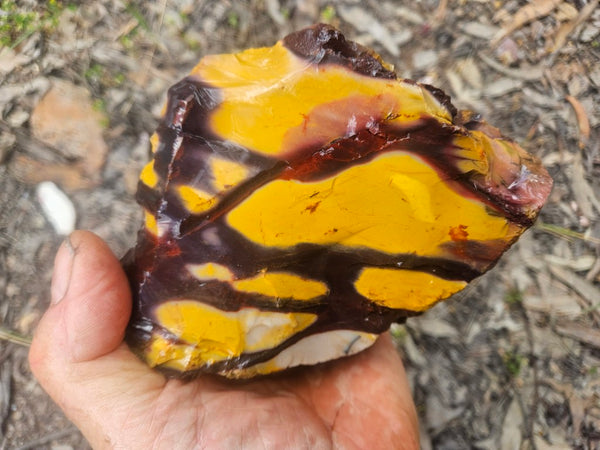 Mookaite rough.  MKR 310