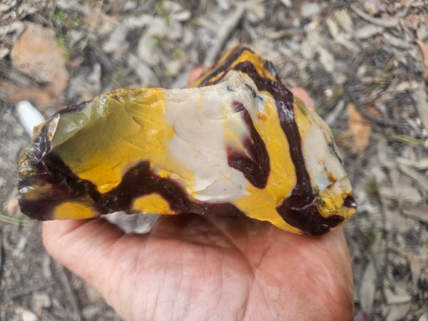 Mookaite rough.  MKR 310