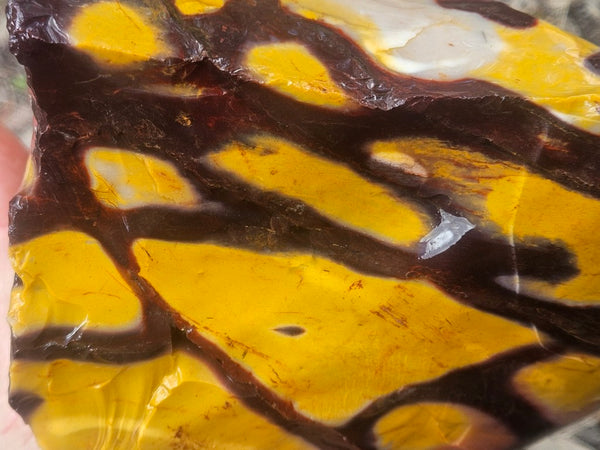 Mookaite rough.  MKR 310
