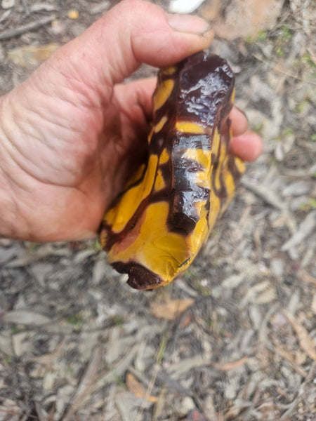 Mookaite rough.  MKR 310