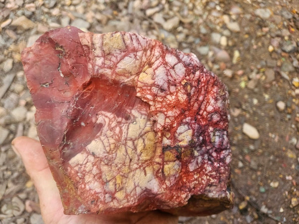 Mookaite rough.  MKR 311