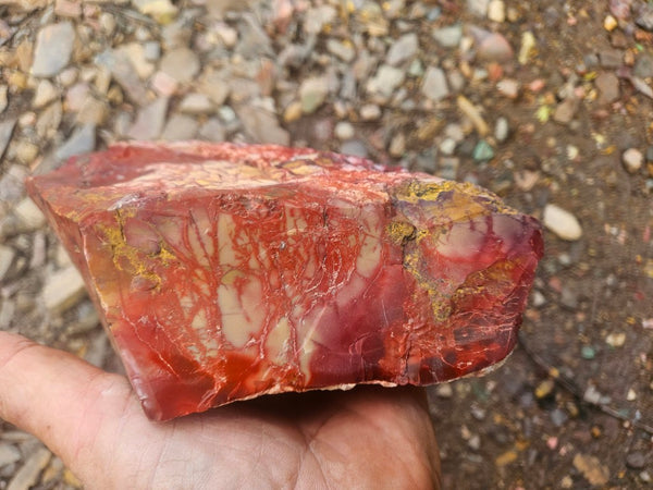 Mookaite rough.  MKR 311