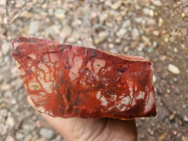 Mookaite rough.  MKR 311