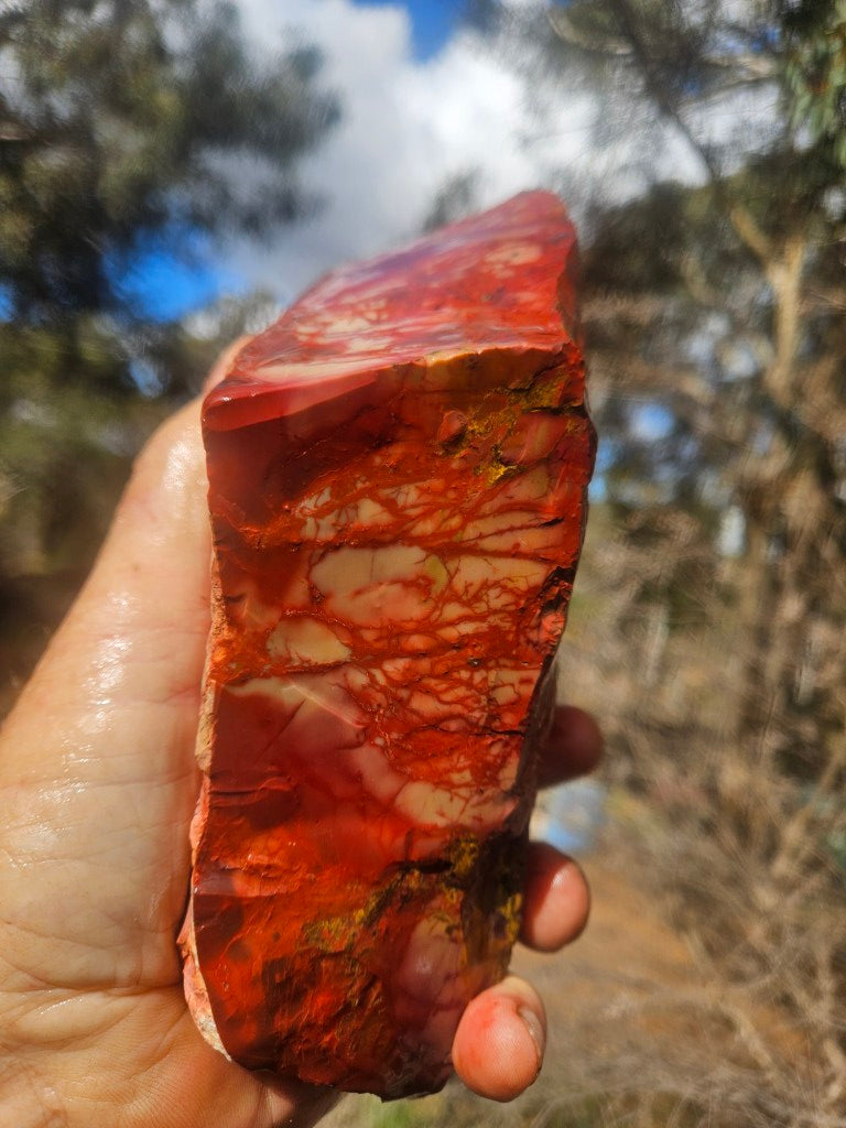 Mookaite rough.  MKR 311