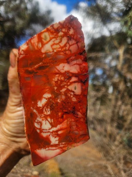 Mookaite rough.  MKR 311