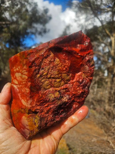 Mookaite rough.  MKR 311