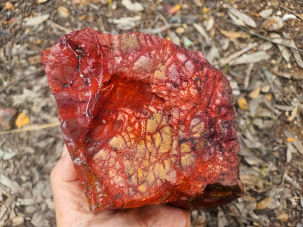 Mookaite rough.  MKR 311