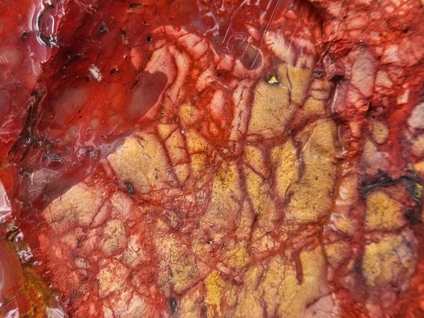 Mookaite rough.  MKR 311