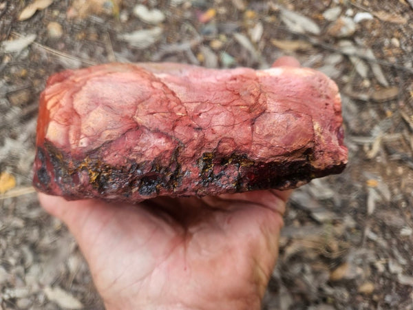 Mookaite rough.  MKR 311
