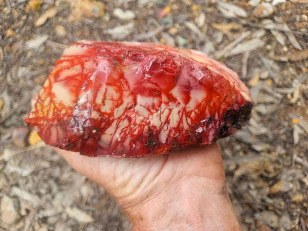 Mookaite rough.  MKR 311