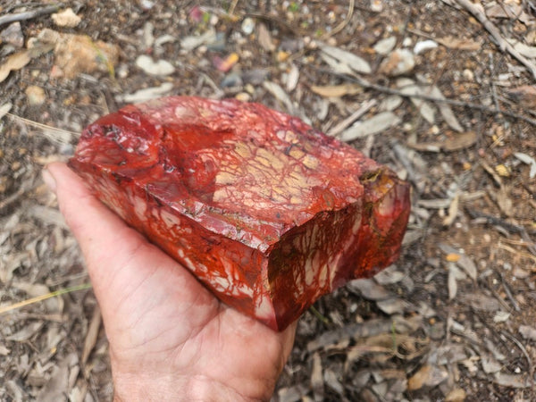 Mookaite rough.  MKR 311